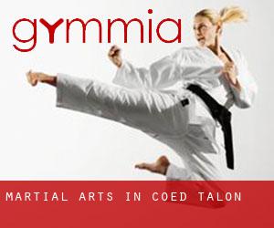Martial Arts in Coed-Talon