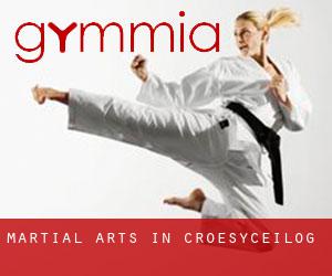 Martial Arts in Croesyceilog
