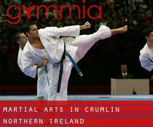 Martial Arts in Crumlin (Northern Ireland)