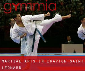 Martial Arts in Drayton Saint Leonard
