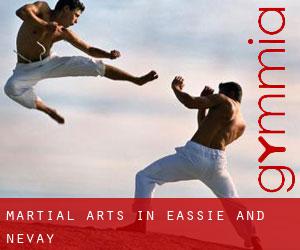 Martial Arts in Eassie and Nevay