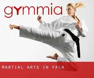 Martial Arts in Fala