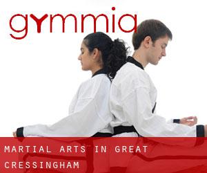 Martial Arts in Great Cressingham