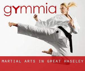 Martial Arts in Great Haseley