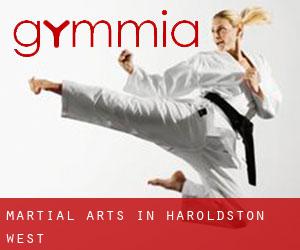 Martial Arts in Haroldston West
