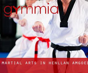 Martial Arts in Henllan Amgoed