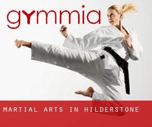 Martial Arts in Hilderstone