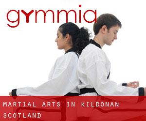 Martial Arts in Kildonan (Scotland)