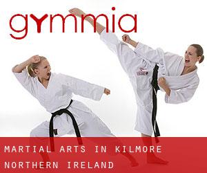 Martial Arts in Kilmore (Northern Ireland)