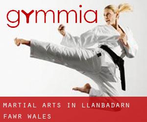 Martial Arts in Llanbadarn-fawr (Wales)
