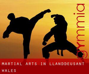 Martial Arts in Llanddeusant (Wales)