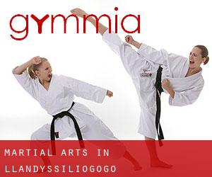 Martial Arts in Llandyssiliogogo