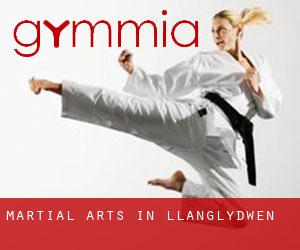 Martial Arts in Llanglydwen