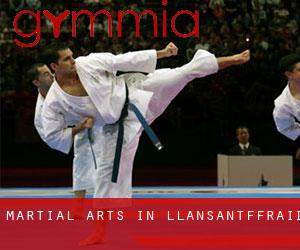 Martial Arts in Llansantffraid