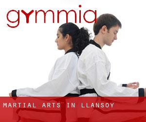 Martial Arts in Llansoy