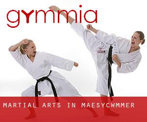 Martial Arts in Maesycwmmer