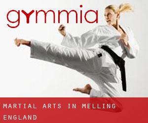 Martial Arts in Melling (England)