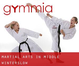 Martial Arts in Middle Winterslow