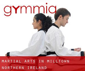 Martial Arts in Milltown (Northern Ireland)