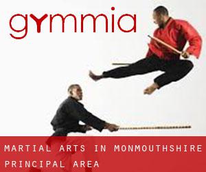 Martial Arts in Monmouthshire principal area