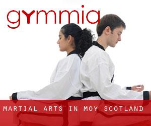 Martial Arts in Moy (Scotland)