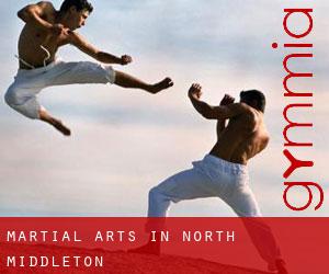 Martial Arts in North Middleton