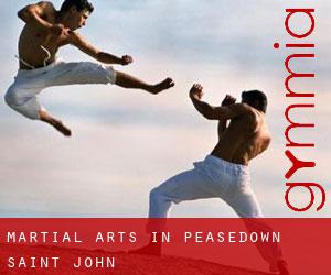Martial Arts in Peasedown Saint John