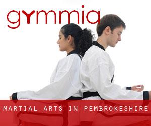 Martial Arts in Pembrokeshire