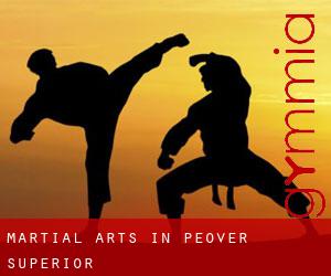 Martial Arts in Peover Superior