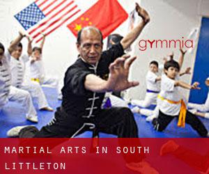 Martial Arts in South Littleton