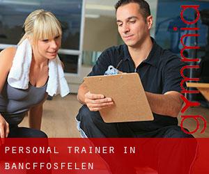 Personal Trainer in Bancffosfelen