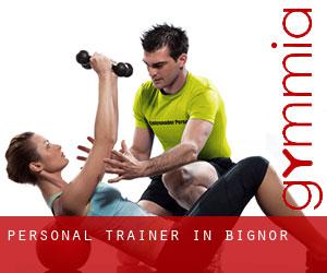 Personal Trainer in Bignor