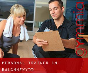 Personal Trainer in Bwlchnewydd