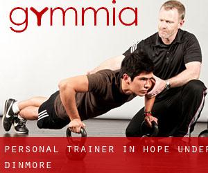 Personal Trainer in Hope under Dinmore