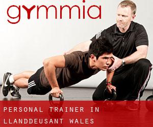 Personal Trainer in Llanddeusant (Wales)