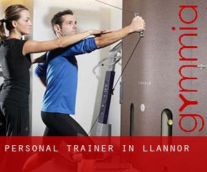 Personal Trainer in Llannor