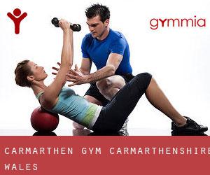 Carmarthen gym (Carmarthenshire, Wales)