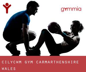 Cilycwm gym (Carmarthenshire, Wales)