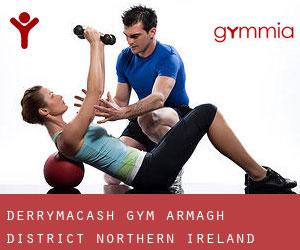 Derrymacash gym (Armagh District, Northern Ireland)