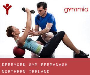 Derryork gym (Fermanagh, Northern Ireland)
