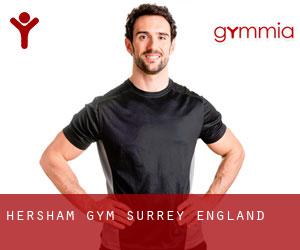 Hersham gym (Surrey, England)