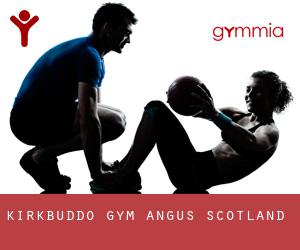 Kirkbuddo gym (Angus, Scotland)