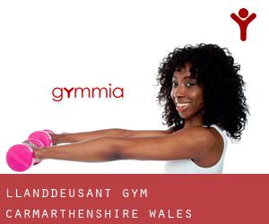Llanddeusant gym (Carmarthenshire, Wales)
