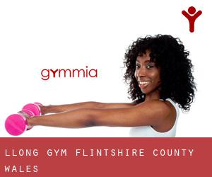 Llong gym (Flintshire County, Wales)