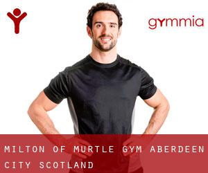 Milton of Murtle gym (Aberdeen City, Scotland)