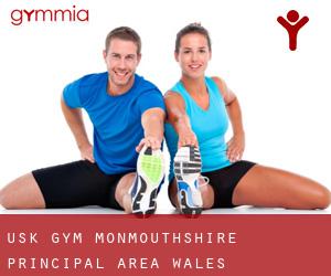 Usk gym (Monmouthshire principal area, Wales)