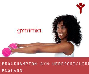 Brockhampton gym (Herefordshire, England)
