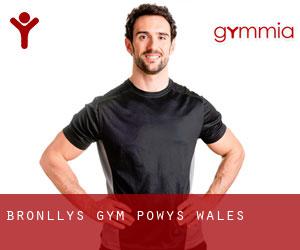 Bronllys gym (Powys, Wales)