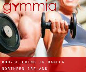 BodyBuilding in Bangor (Northern Ireland) BodyBuilding in Bangor (Northern Ireland)