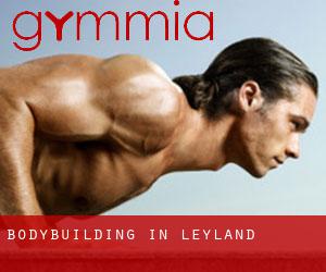 BodyBuilding in Leyland